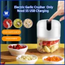 250ml Garlic Chopper Kitchen Electric Food Crusher Mini Blender Grinder Garlic Blender Processors